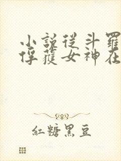 小说从斗罗开始俘获女神在线阅读