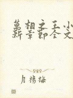 万相之王小说最新章节全文免费阅读