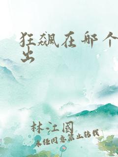 狂飙在哪个台播出