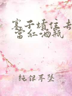 塞子堵住去上学 当红酒瓶