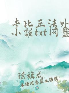 卡比丘法外之徒小说txt网盘