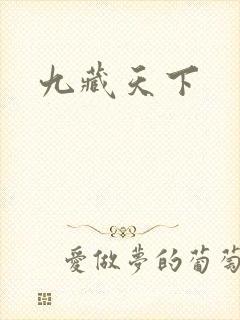 九藏天下