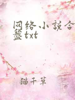 网络小说合集网盘txt