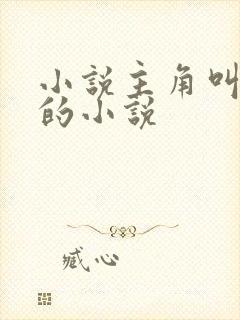 小说主角叫林宇的小说