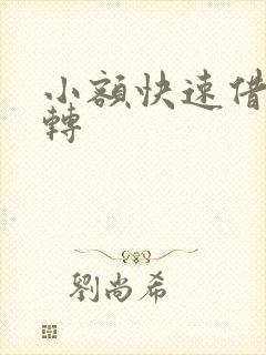 小额快速借款周转