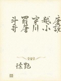 斗罗穿越唐三亲哥唐川小说