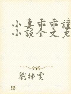 小妻乖乖让我宠小说全文免费阅读