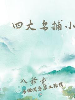 四大名捕小说