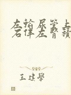 左输尿管上段结石伴左肾积水7mm