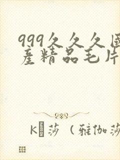 999久久久国产精品毛片