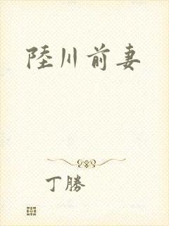 陆川前妻