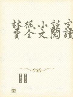 林枫小说完结免费全文阅读