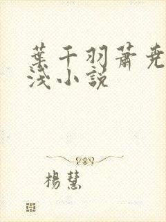 叶千羽萧尧白清浅小说