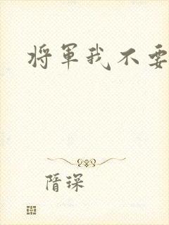 将军我不要你了