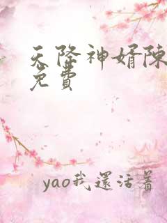 天降神婿陈黄皮免费