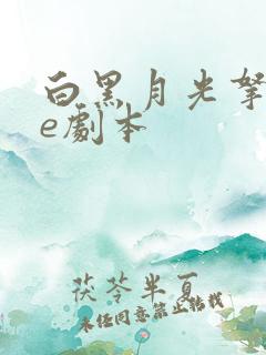 白黑月光拿稳be剧本