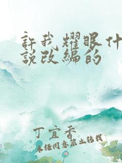 许我耀眼什么小说改编的