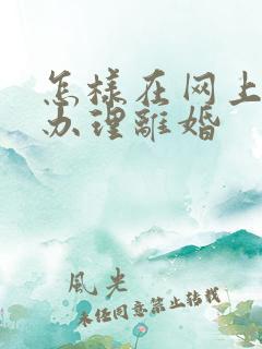 怎样在网上快速办理离婚