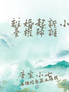 离婚起诉小孩抚养权归谁