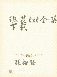 班花txt全集下载
