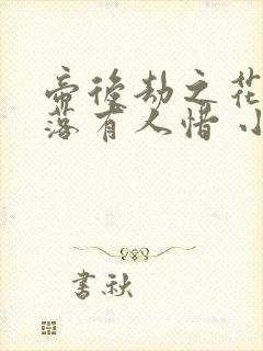 帝后劫之花开花落有人惜 小说
