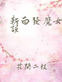 新白发魔女传小说