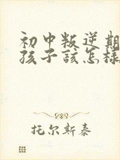 初中叛逆期的男孩子该怎样去沟通教育