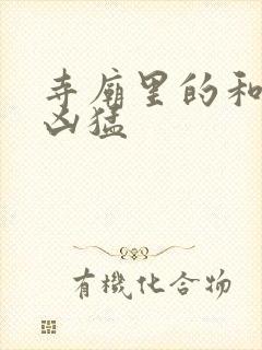 寺庙里的和尚很凶猛