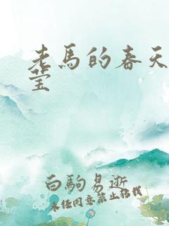 老马的春天王雪莹