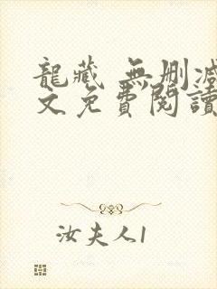 龙藏 无删减全文免费阅读