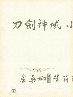 刀剑神域 小说