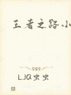 王者之路小说