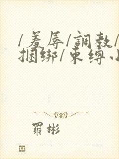 /羞辱/调教/捆绑/束缚小说