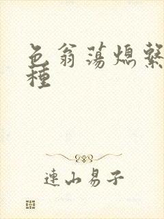 色翁荡熄系列借种