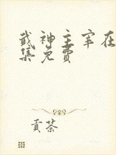 武神主宰在线全集免费