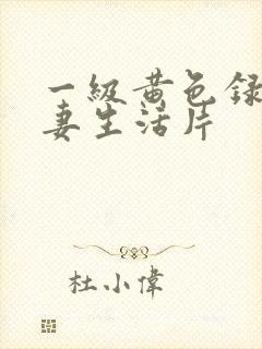 一级黄色录像夫妻生活片