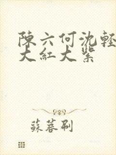 陈六何沈轻舞 大红大紫