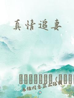 真情追妻