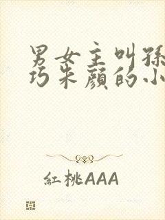 男女主叫孙哲叶巧朱颜的小说