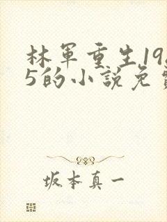 林军重生1985的小说免费阅读全文