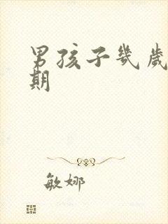 男孩子几岁叛逆期