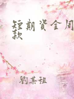 短期资金周转借款