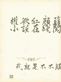 权欲红颜薛宗泽小说在线阅读