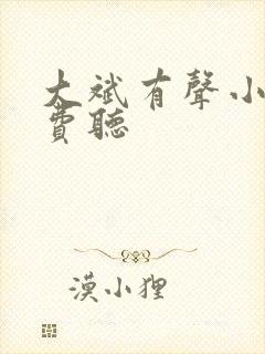 大斌有声小说免费听