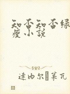 知否知否绿肥红瘦小说