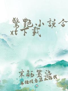 惊艳小说合集txt下载