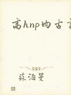 高hnp肉古言