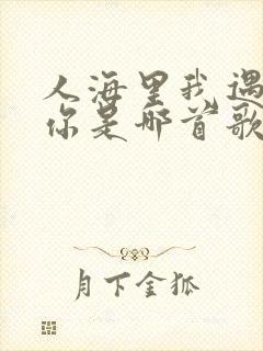 人海里我遇见了你是哪首歌的歌词