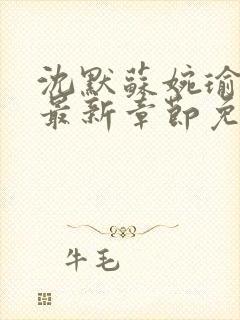 沈默苏婉瑜小说最新章节免费阅读