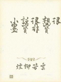 小说很想很想你墨宝非宝